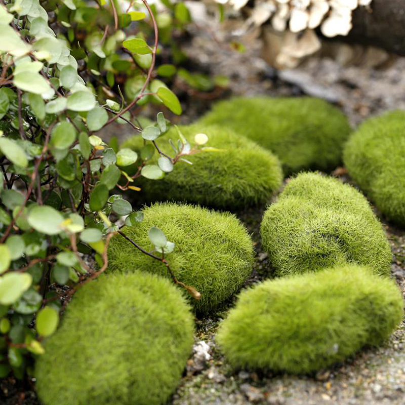 Bonsai Garden Europe - 4Pcs/set Dollhouse Micro Landscape Artificial Moss