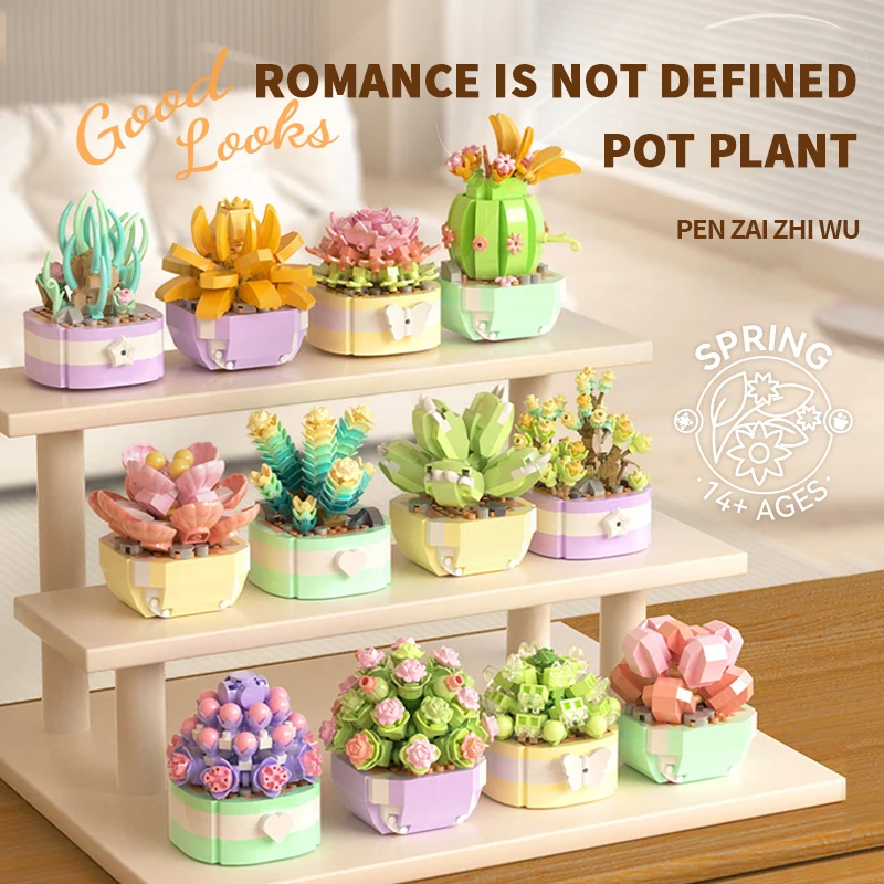 Flower Succulents Building Blo – обзор и цена Bonsai Garden Kit