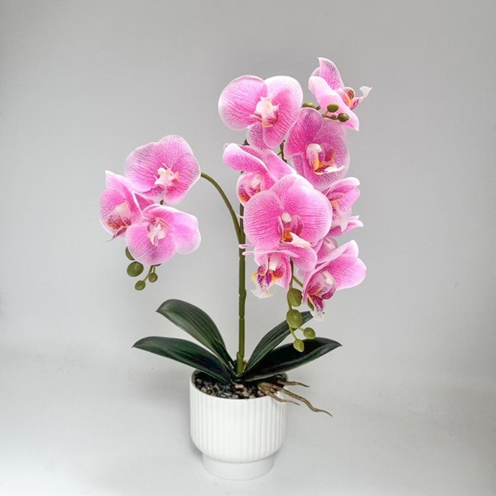 Multi-Bloom Simulated Butterfl – обзор и цена Bonsai Garden Kit