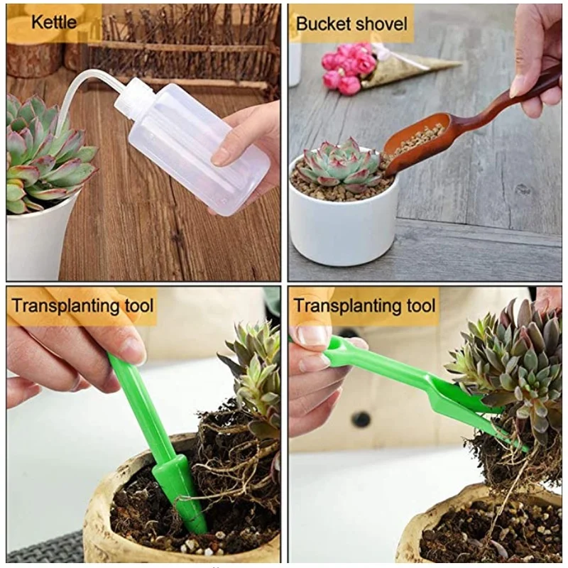 13Pcs Garden Planter Kit DIY S – обзор и цена Bonsai Garden Kit