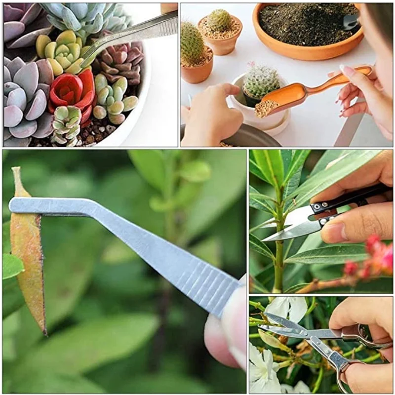 13Pcs Garden Planter Kit DIY S – обзор и цена Bonsai Garden Kit