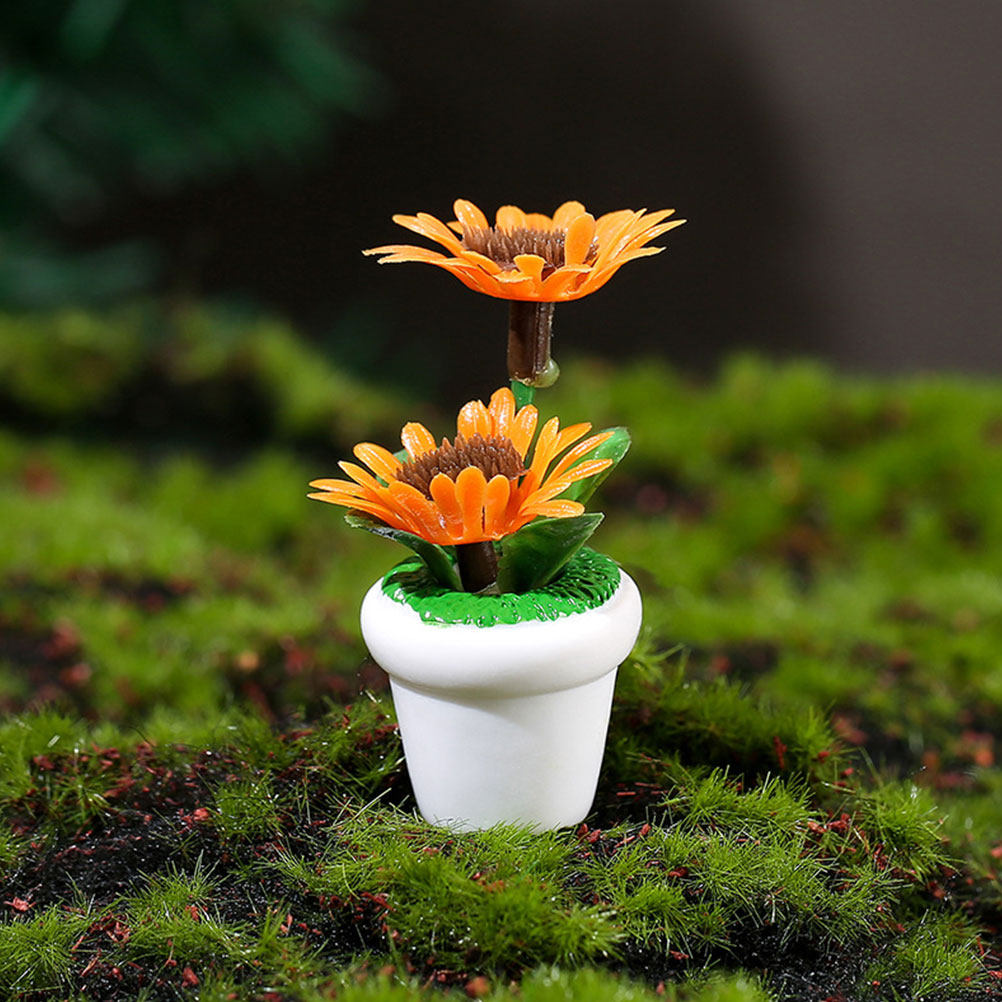 4Pcs Mini Bonsai Plant Potted  – обзор и цена Bonsai Garden Europe
