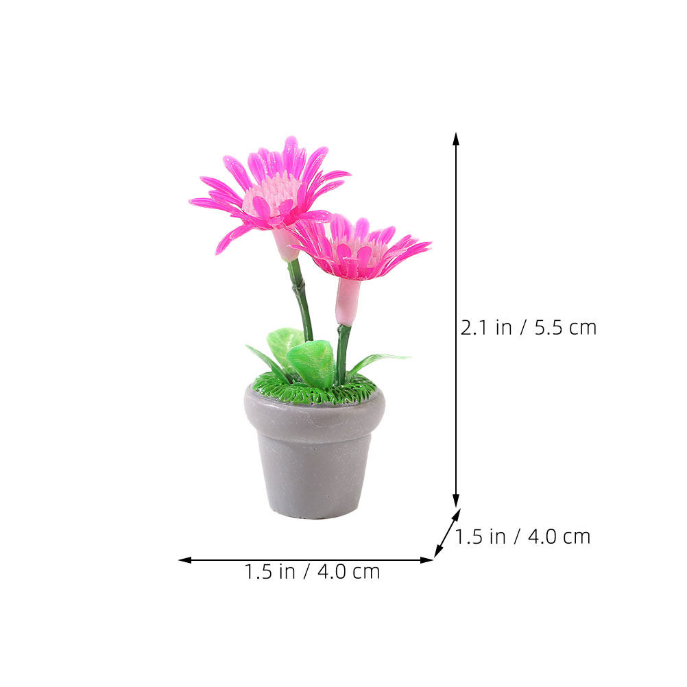 4Pcs Mini Bonsai Plant Potted  – обзор и цена Bonsai Garden Europe