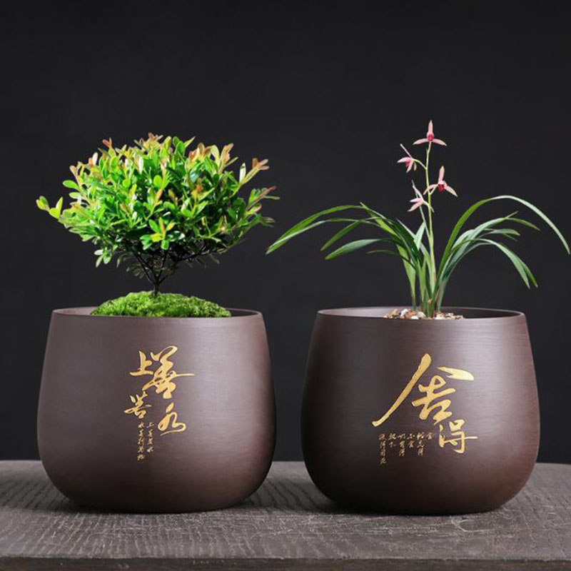 Chinese Style Purple Clay Flow – обзор и цена Bonsai Garden Europe