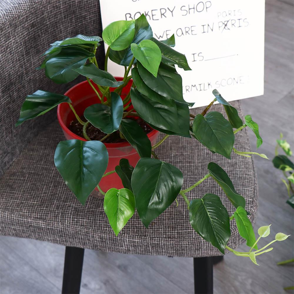 Tropical Nordic Desk Office Ga – обзор и цена Bonsai Garden For Desk