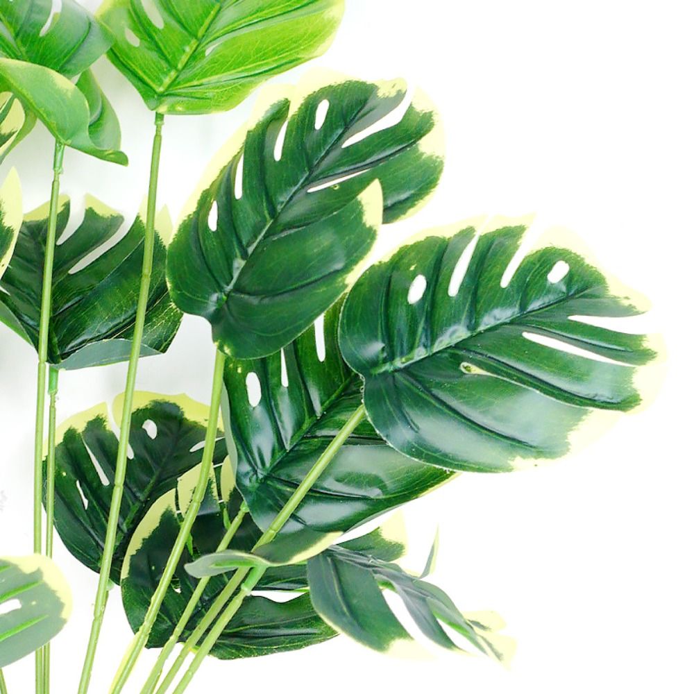 Tropical Nordic Desk Office Ga – обзор и цена Bonsai Garden For Desk