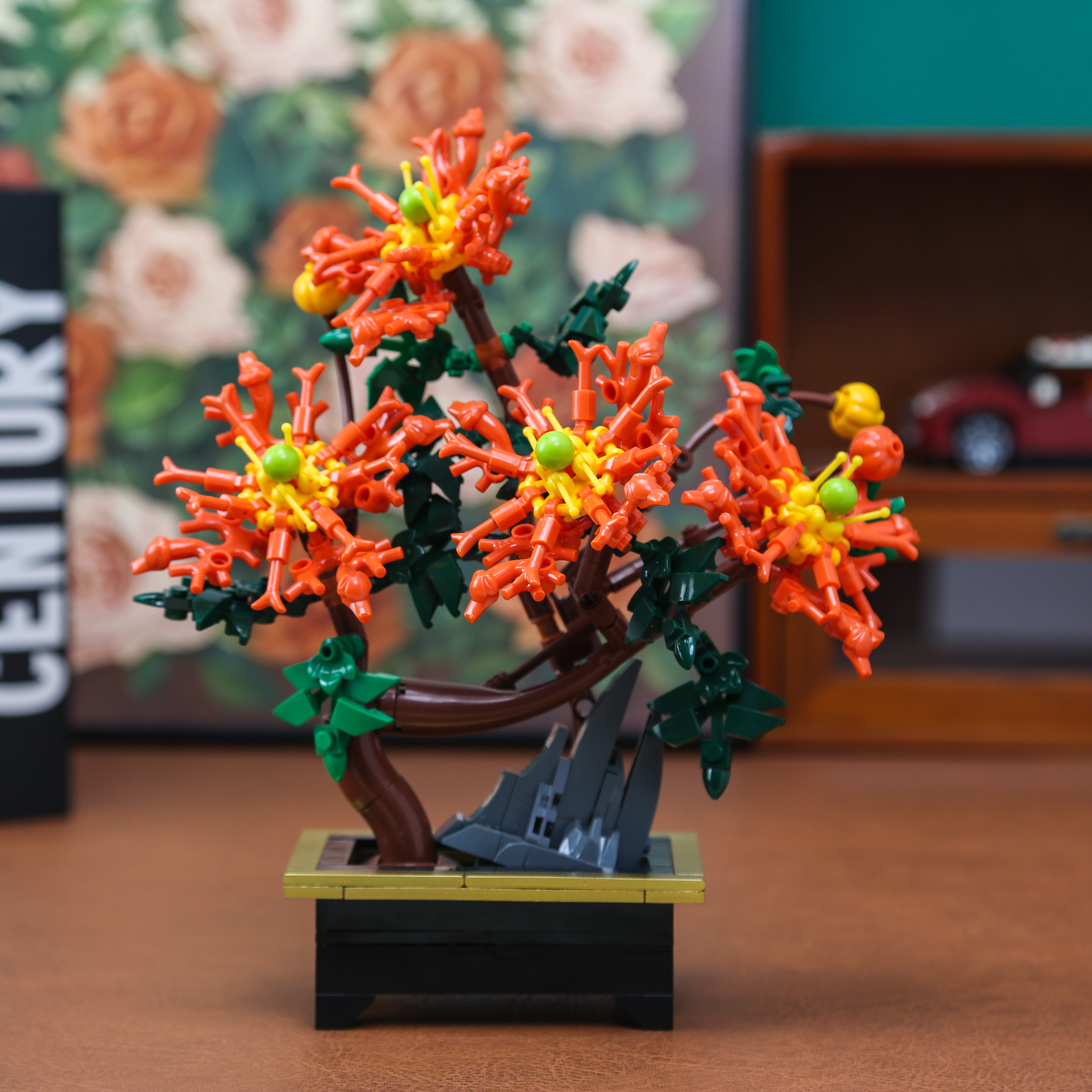 Dragon Claw Chrysanthemum Bons – обзор и цена Bonsai Garden Kit
