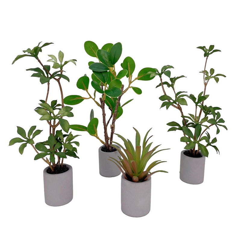 1:6 Dollhouse Miniature Potted – обзор и цена Bonsai Garden Europe