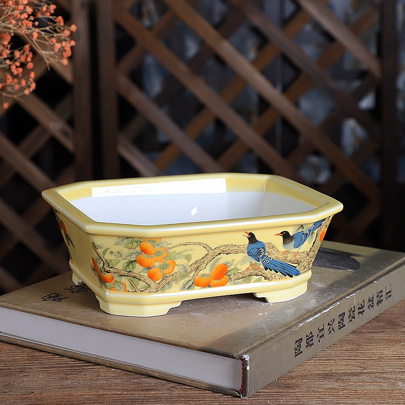 Porcelain Rectangle Bonsai Pot – обзор и цена Bonsai Garden For Desk