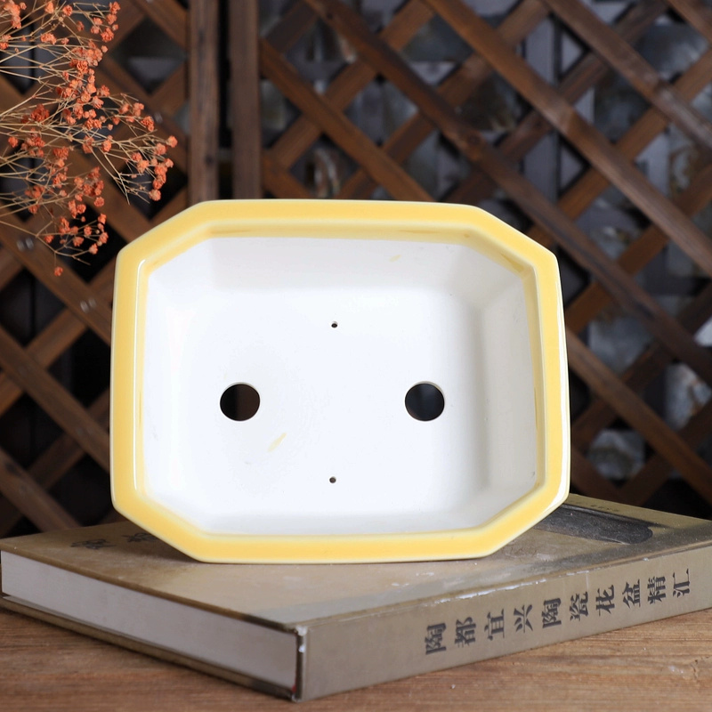 Porcelain Rectangle Bonsai Pot – обзор и цена Bonsai Garden For Desk