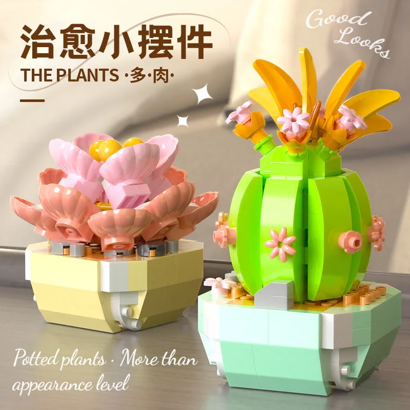 Flower Succulents Building Blo – обзор и цена Bonsai Garden Kit