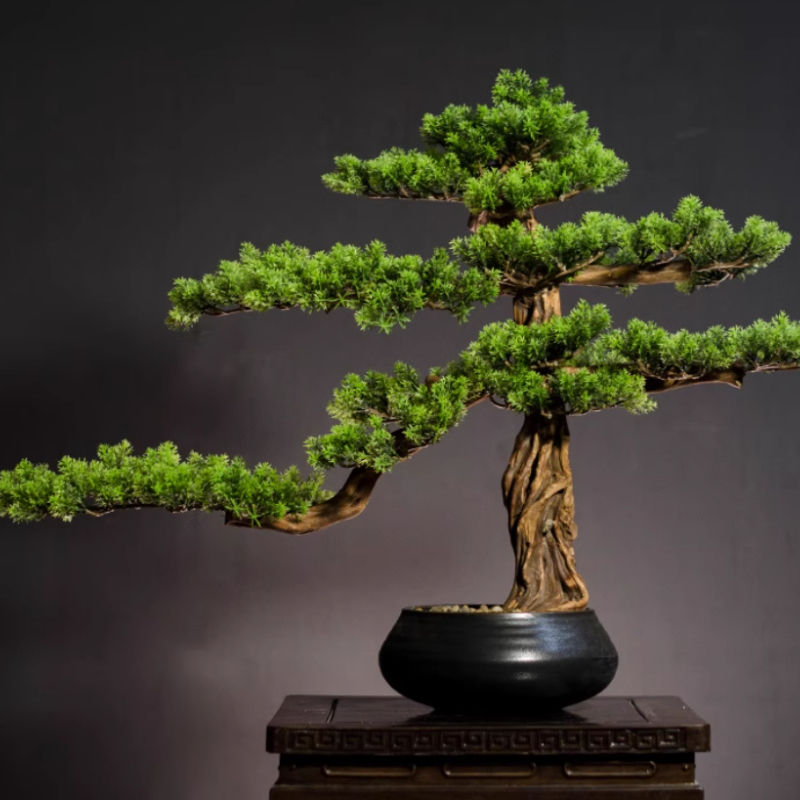 Home Welcoming Pine Ornaments  – обзор и цена Bonsai Garden Entrance