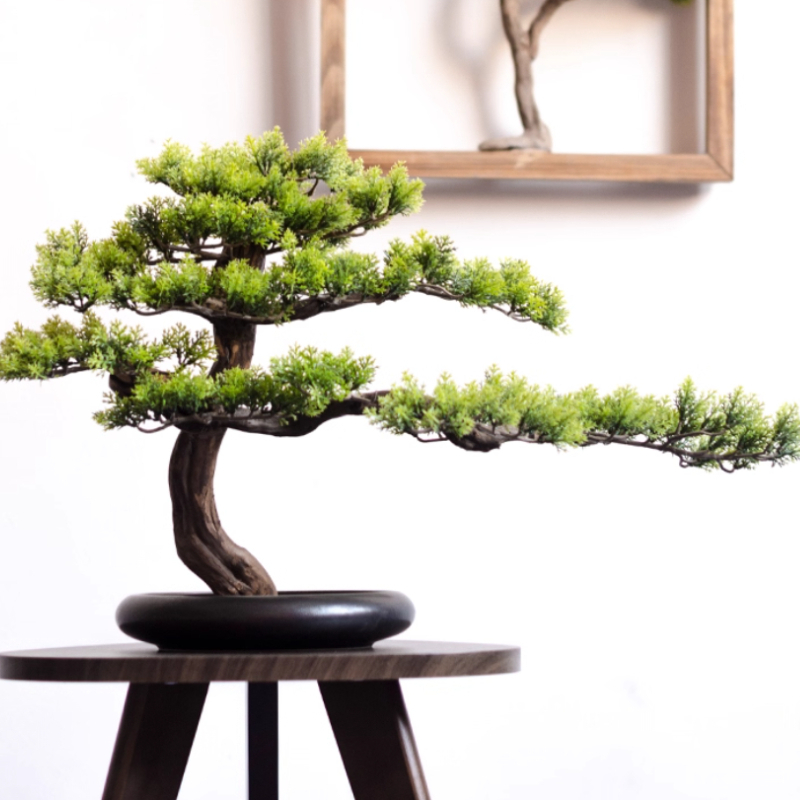 Home Welcoming Pine Ornaments  – обзор и цена Bonsai Garden Entrance