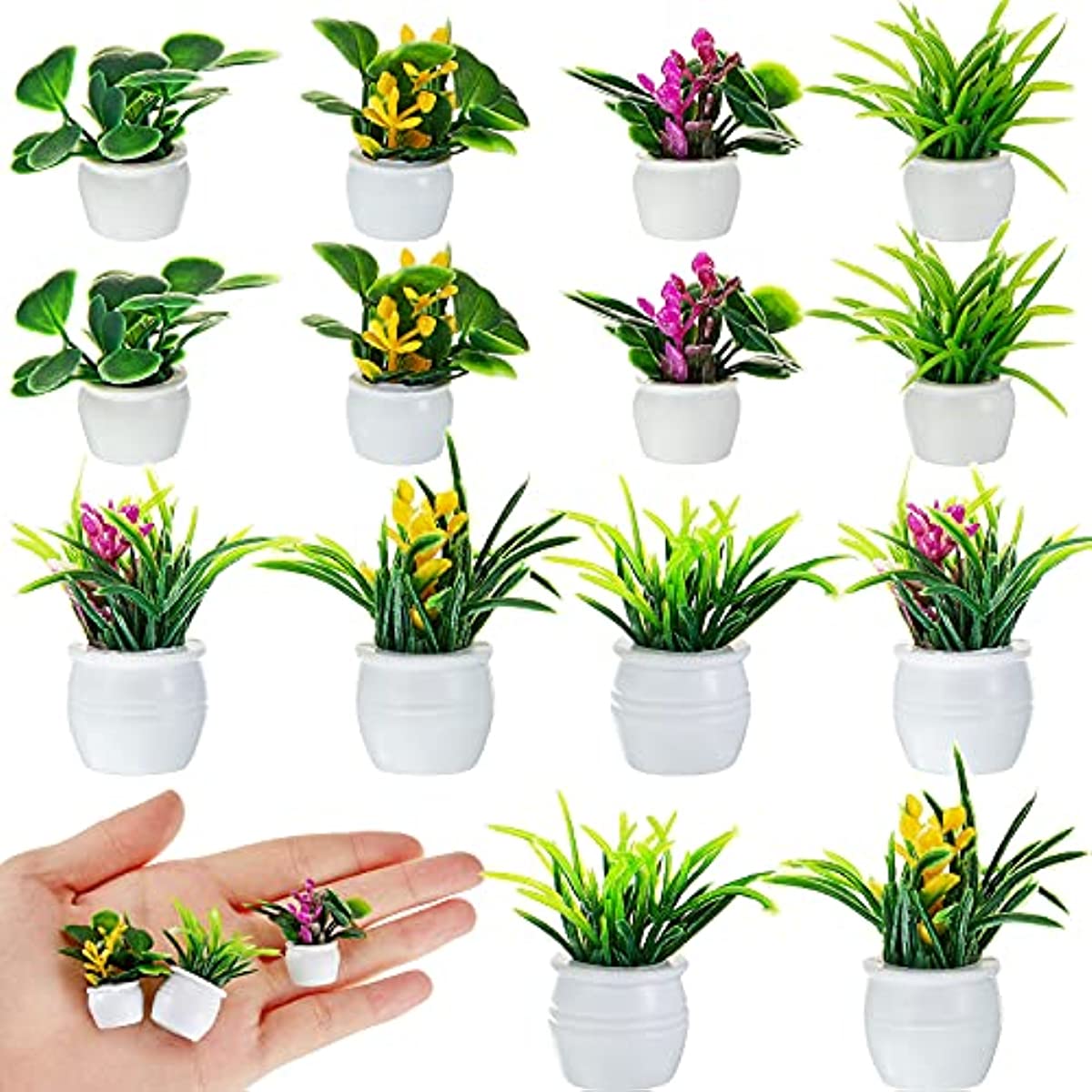 Dollhouse Plant, Miniature Bon – обзор и цена Bonsai Garden Kit
