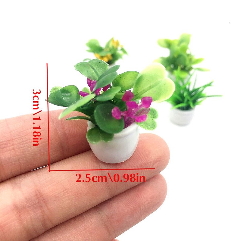 Dollhouse Plant, Miniature Bon – обзор и цена Bonsai Garden Kit