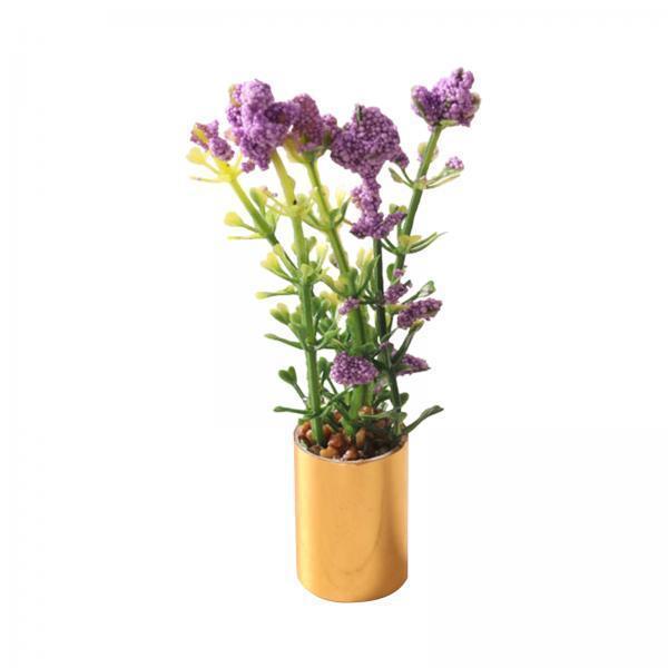 Miniature Potted Plant Ornamen – обзор и цена Bonsai Garden Europe