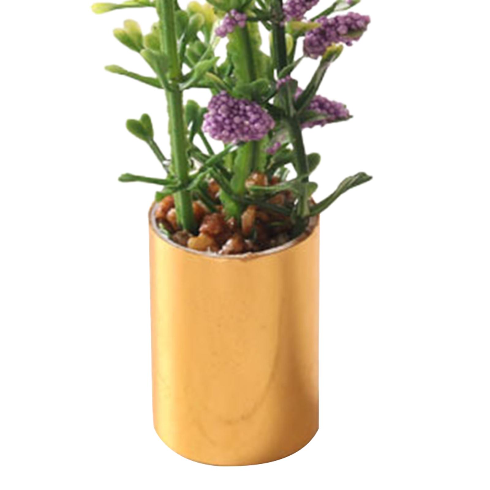 Miniature Potted Plant Ornamen – обзор и цена Bonsai Garden Europe