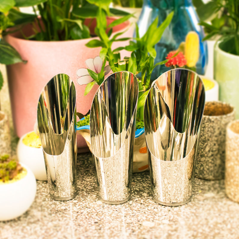 Stainless Steel Bucket Shovel  – обзор и цена Bonsai Garden Kit