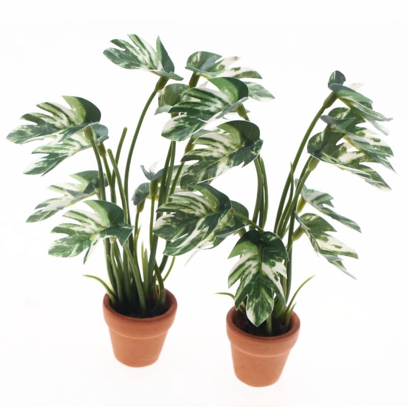 1/12 Scale Monstera Green Plan – обзор и цена Bonsai Garden Europe