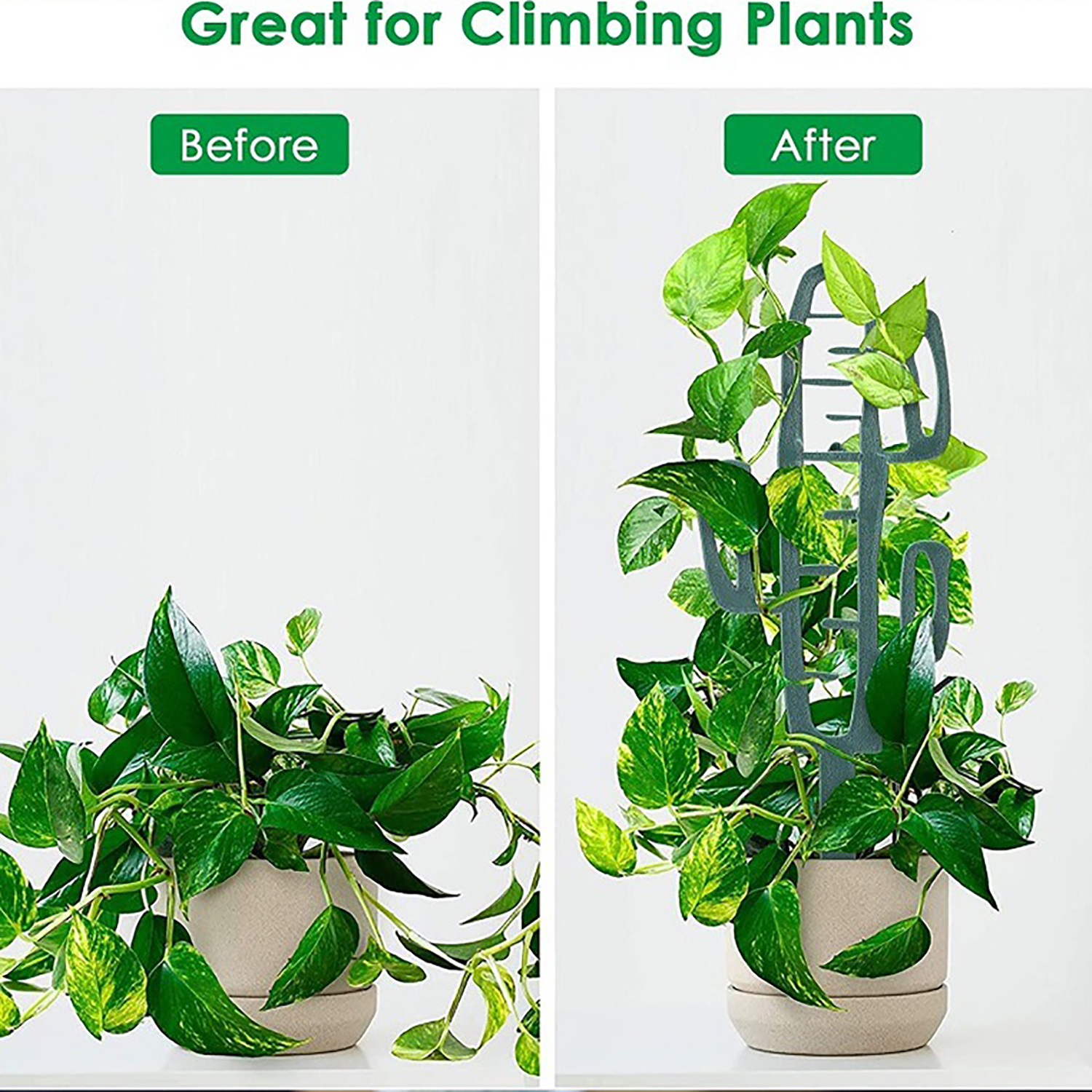 Plant Climbing Support Stand F – обзор и цена Bonsai Garden Kit