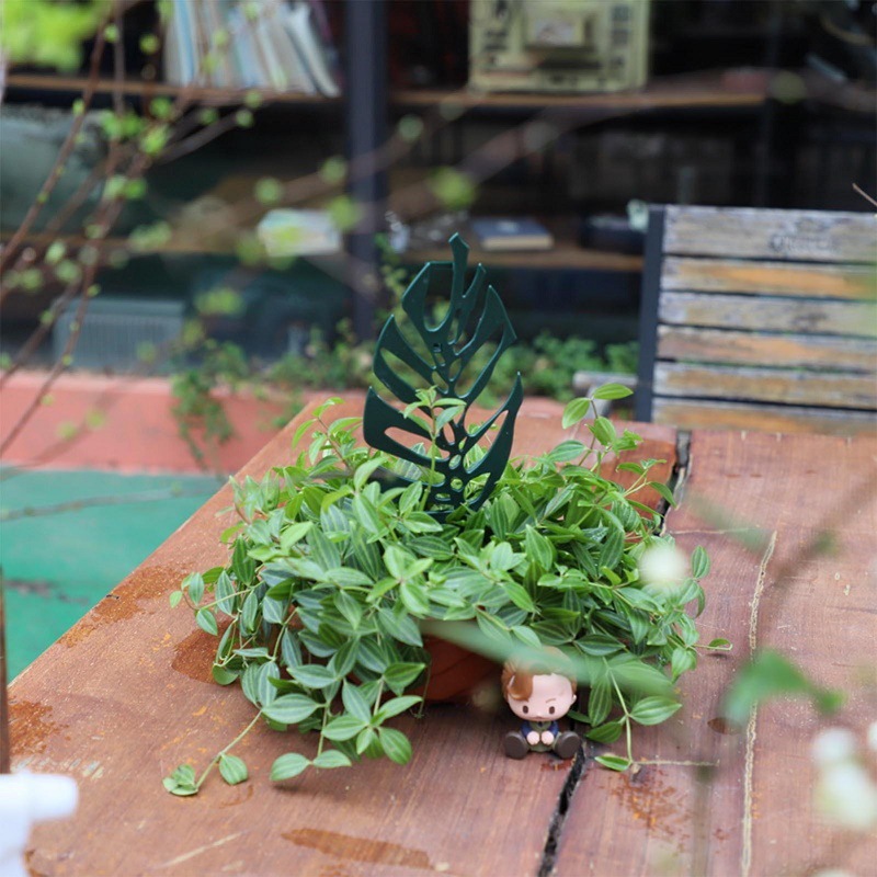 Plant Climbing Support Stand F – обзор и цена Bonsai Garden Kit